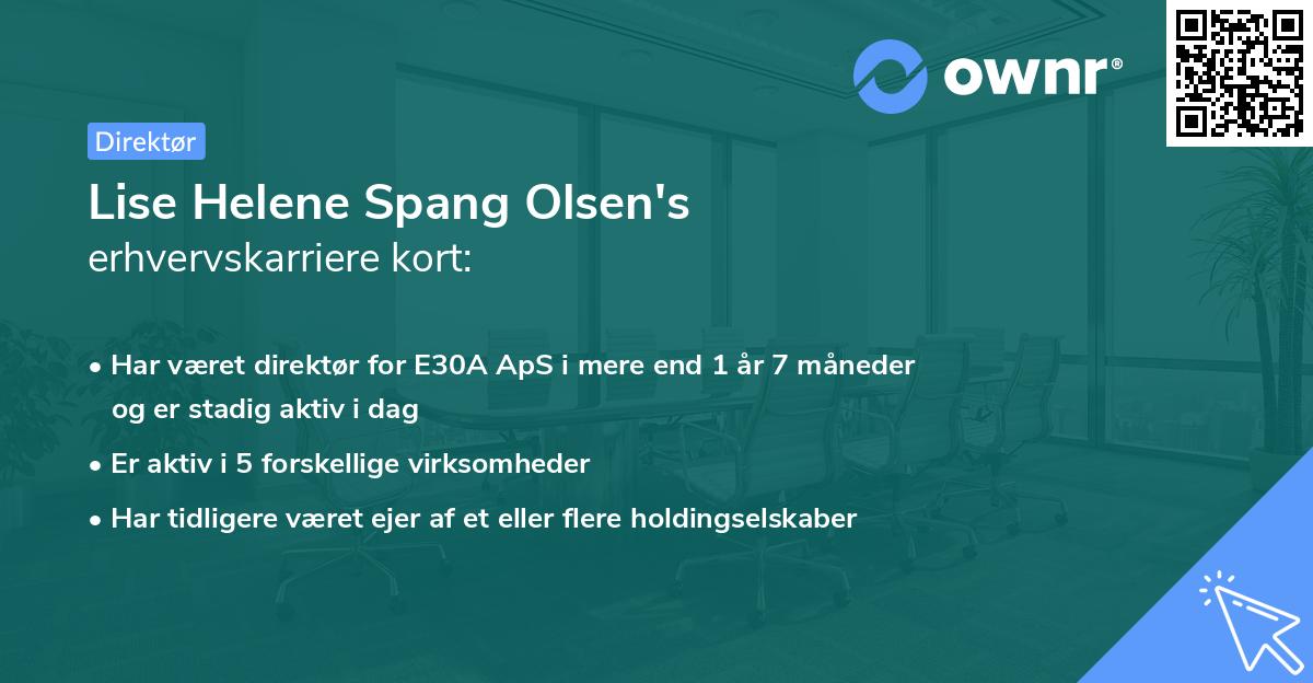 Lise Helene Spang Olsen's erhvervskarriere kort