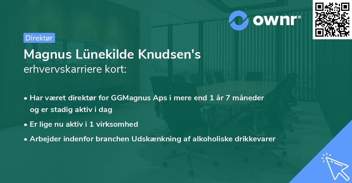 Magnus Lünekilde Knudsen's erhvervskarriere kort