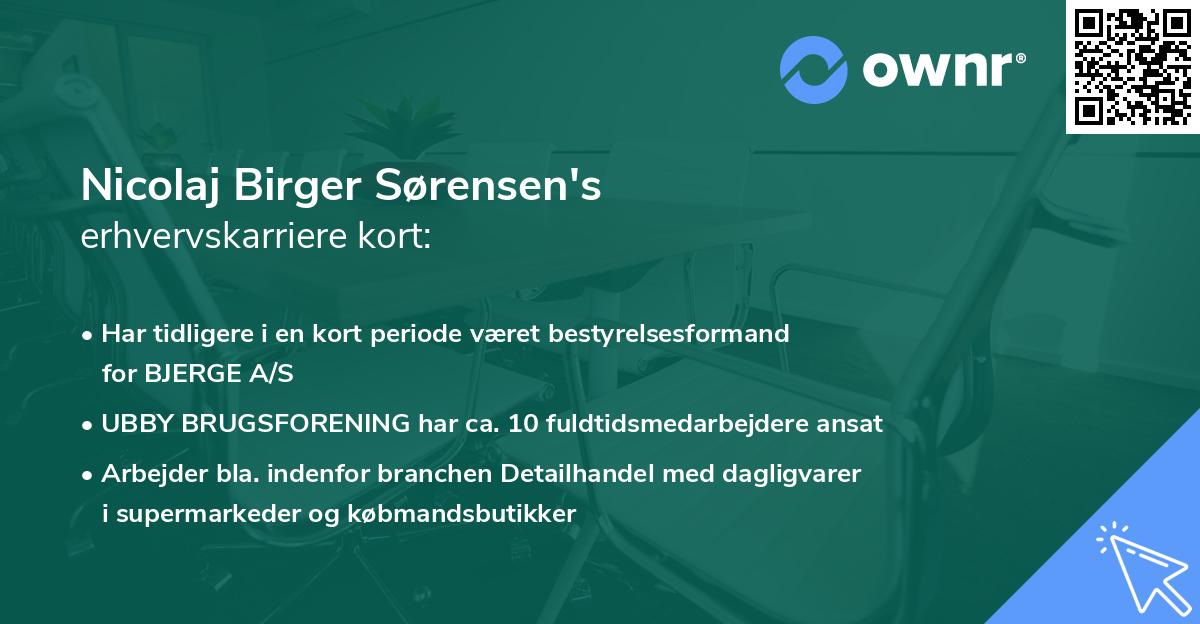 Nicolaj Birger Sørensen's erhvervskarriere kort