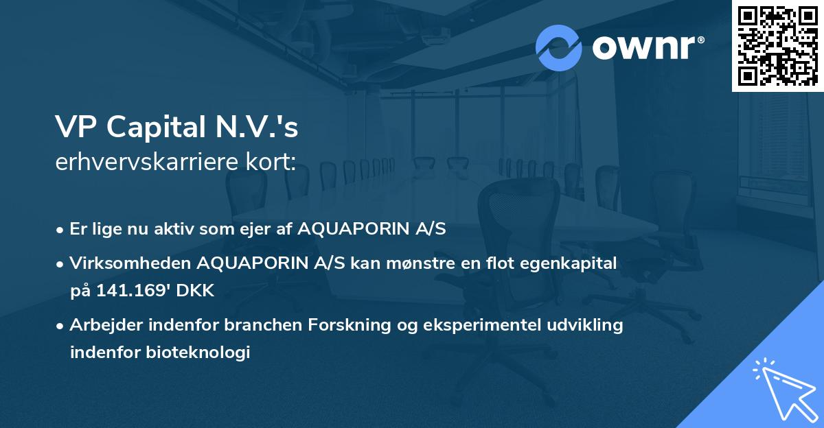 VP Capital N.V.'s erhvervskarriere kort