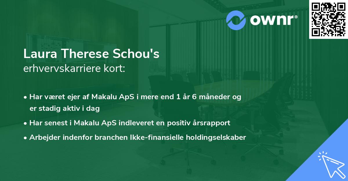Laura Therese Schou's erhvervskarriere kort