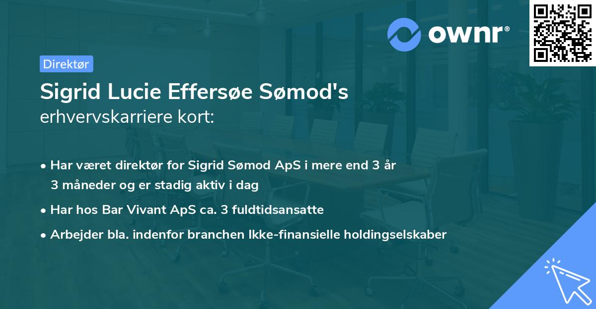 Sigrid Lucie Effersøe Sømod's erhvervskarriere kort