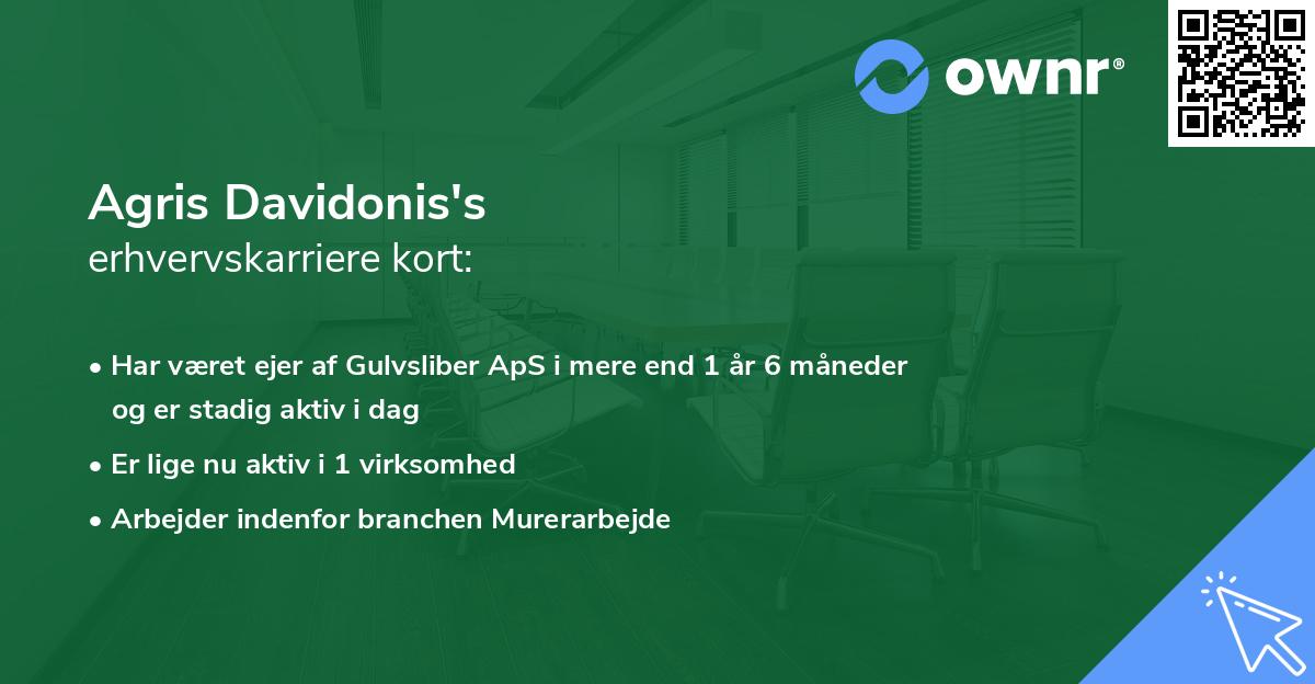 Agris Davidonis's erhvervskarriere kort