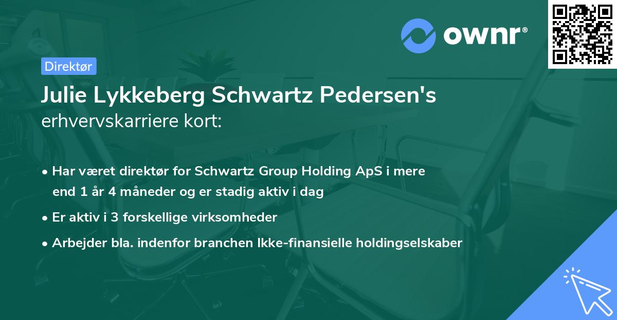 Julie Lykkeberg Schwartz Pedersen's erhvervskarriere kort