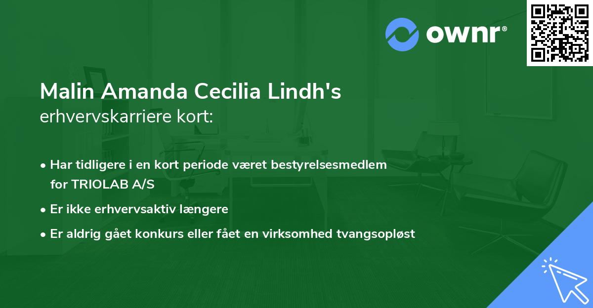 Malin Amanda Cecilia Lindh's erhvervskarriere kort
