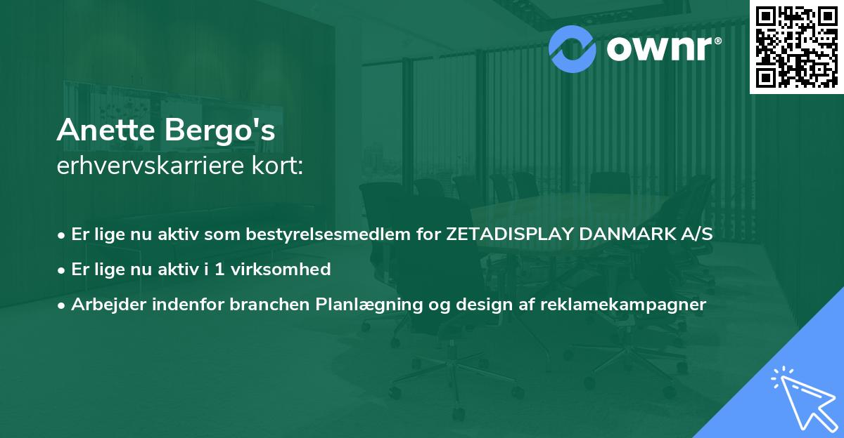 Anette Bergo's erhvervskarriere kort