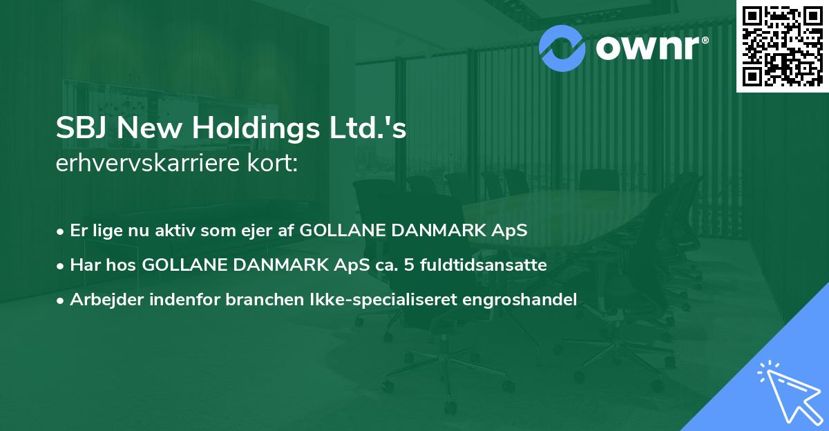 SBJ New Holdings Ltd.'s erhvervskarriere kort