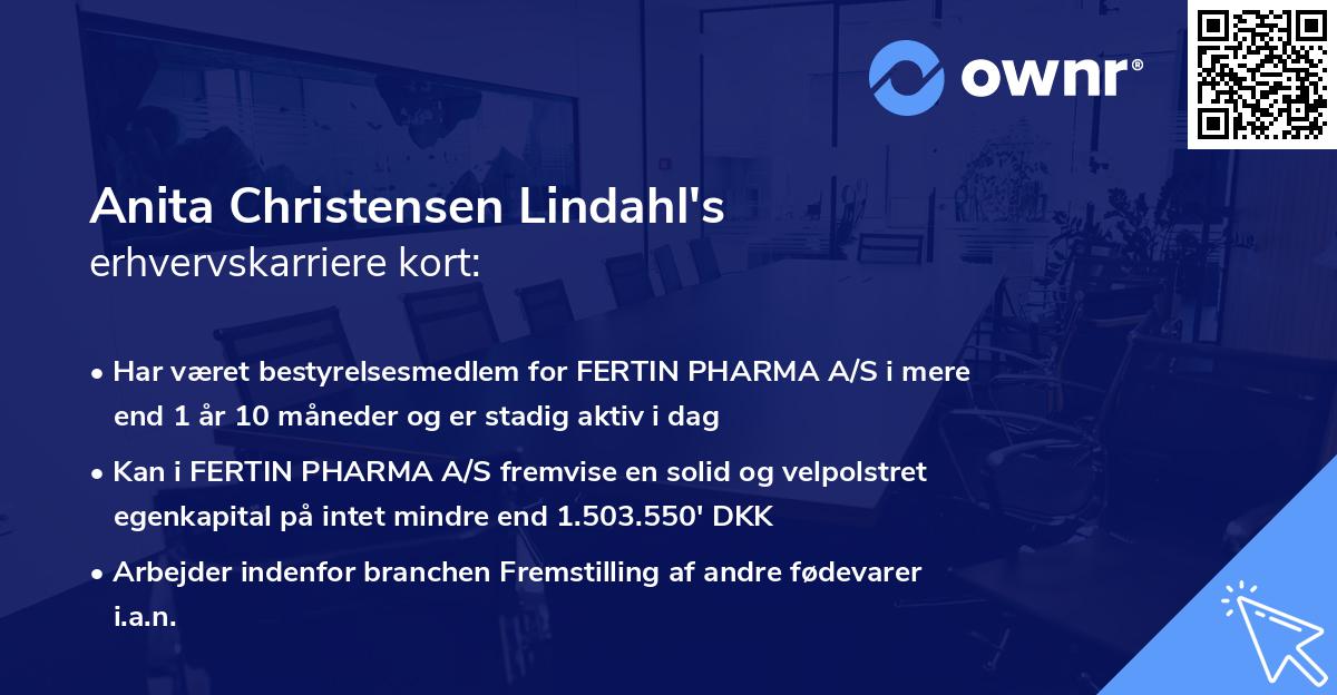 Anita Christensen Lindahl's erhvervskarriere kort
