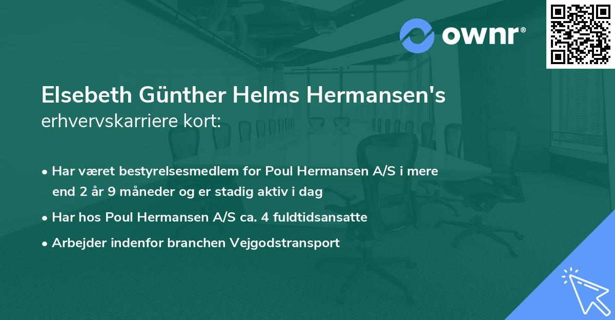 Elsebeth Günther Helms Hermansen's erhvervskarriere kort