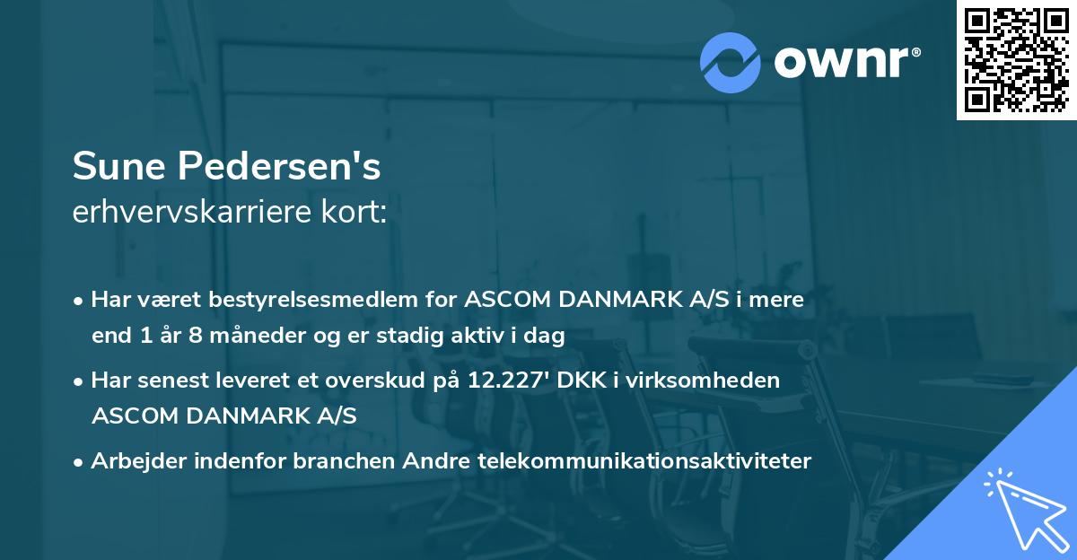 Sune Pedersen's erhvervskarriere kort