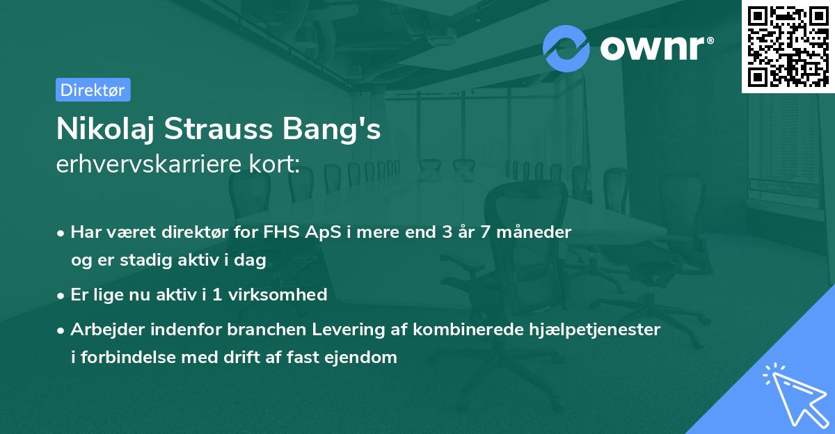 Nikolaj Strauss Bang's erhvervskarriere kort