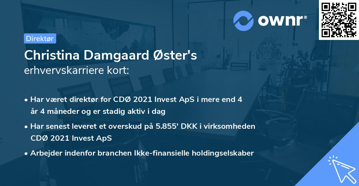 Christina Damgaard Øster's erhvervskarriere kort