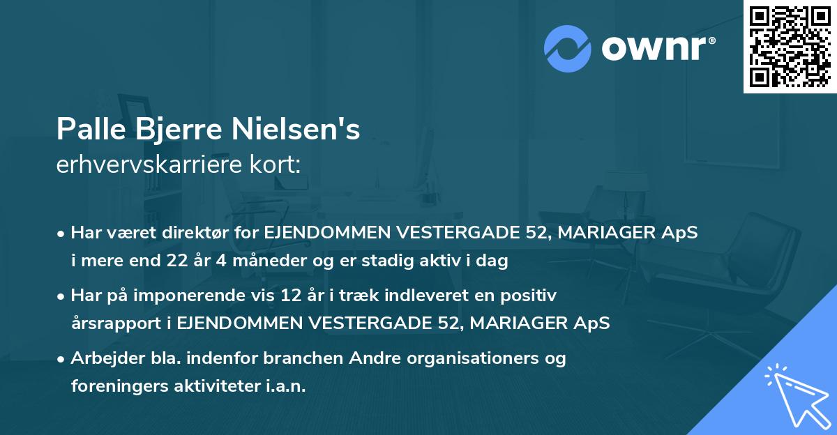 Palle Bjerre Nielsen's erhvervskarriere kort