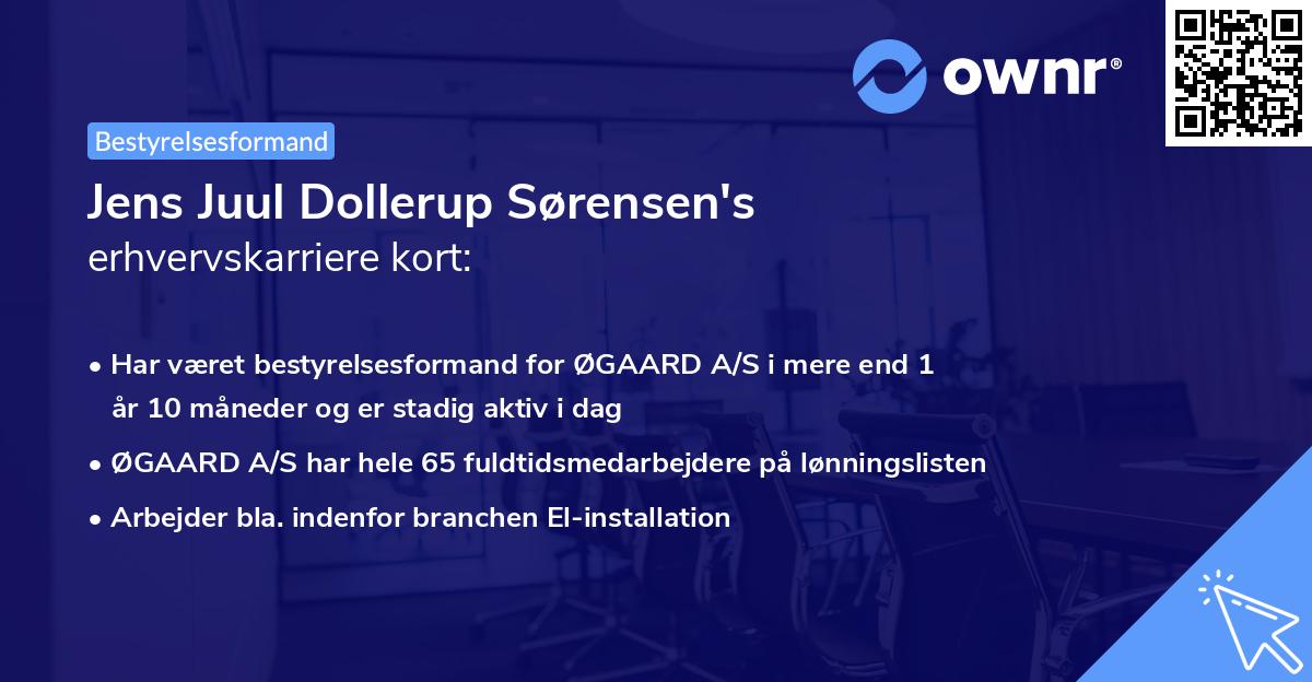 Jens Juul Dollerup Sørensen's erhvervskarriere kort