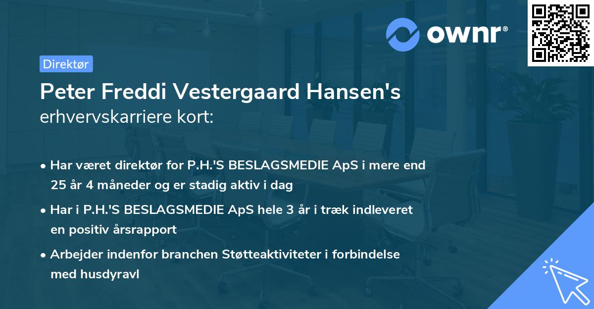 Peter Freddi Vestergaard Hansen's erhvervskarriere kort
