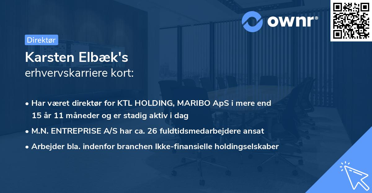Karsten Elbæk's erhvervskarriere kort
