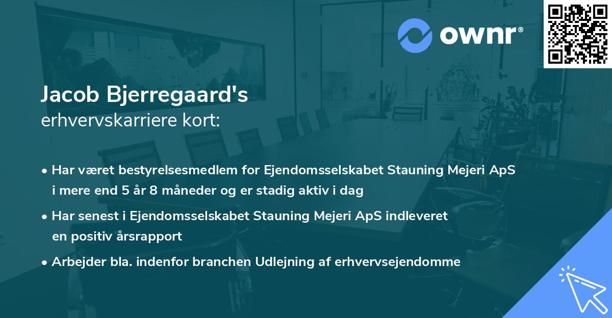 Jacob Bjerregaard's erhvervskarriere kort