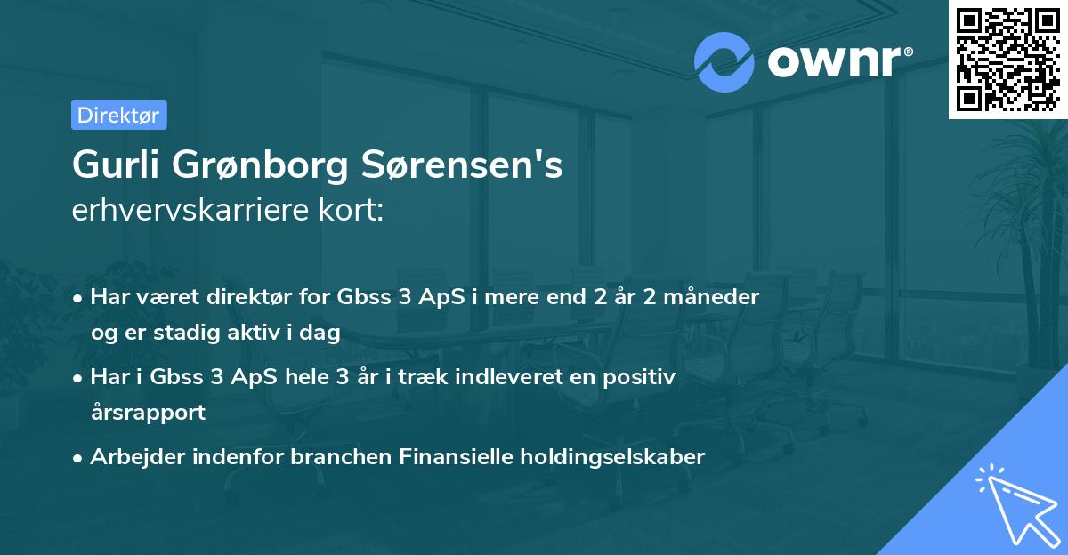 Gurli Grønborg Sørensen's erhvervskarriere kort