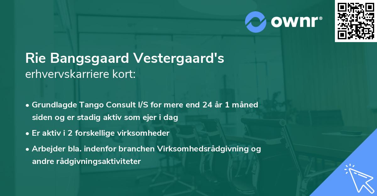 Rie Bangsgaard Vestergaard's erhvervskarriere kort