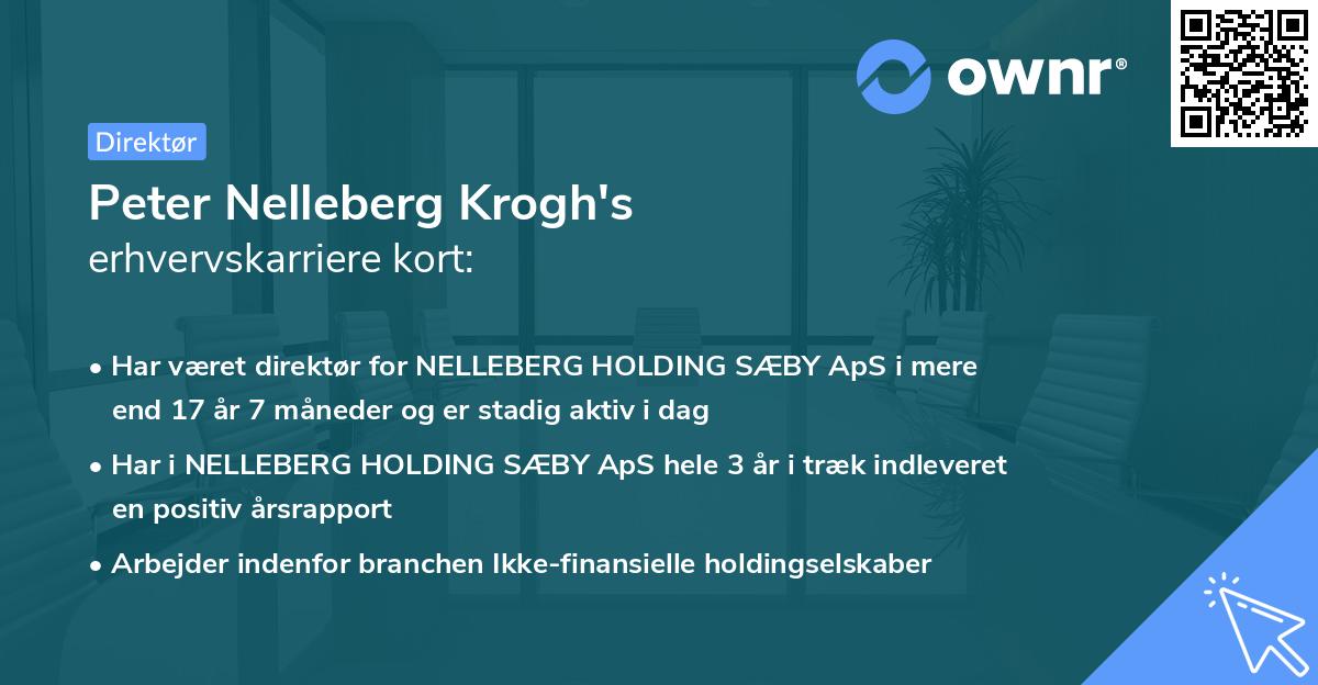 Peter Nelleberg Krogh's erhvervskarriere kort