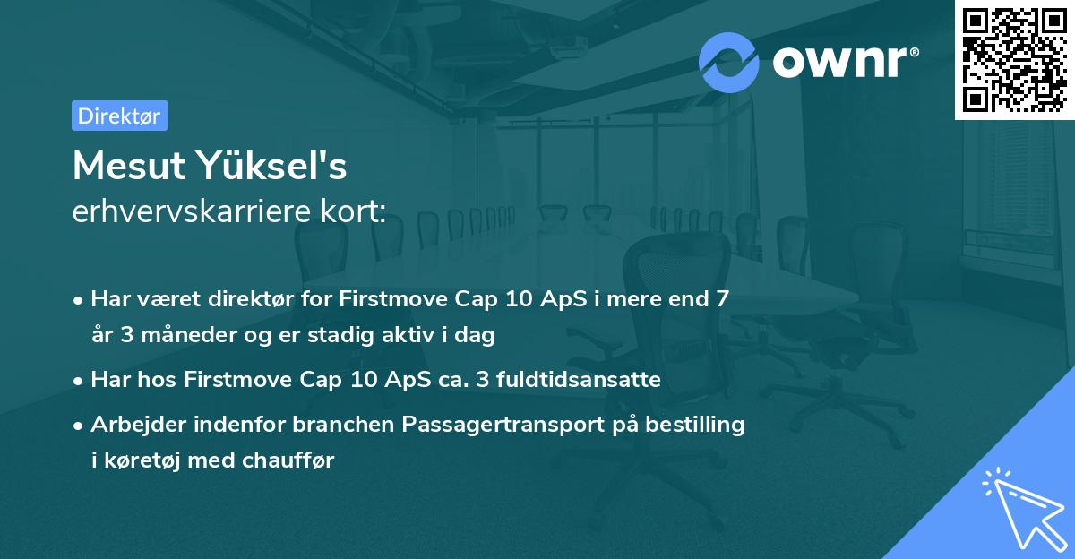 Mesut Yüksel's erhvervskarriere kort