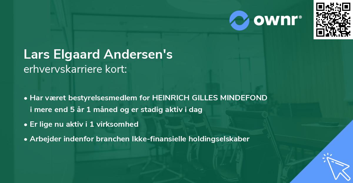Lars Elgaard Andersen's erhvervskarriere kort