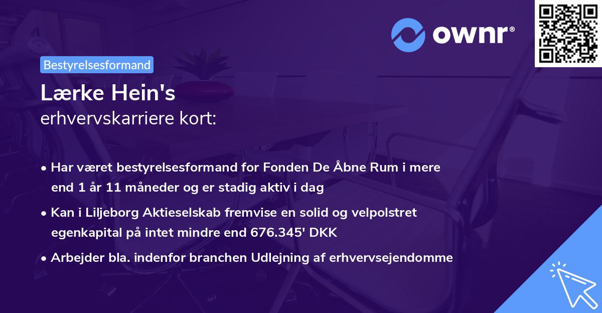 Lærke Hein's erhvervskarriere kort