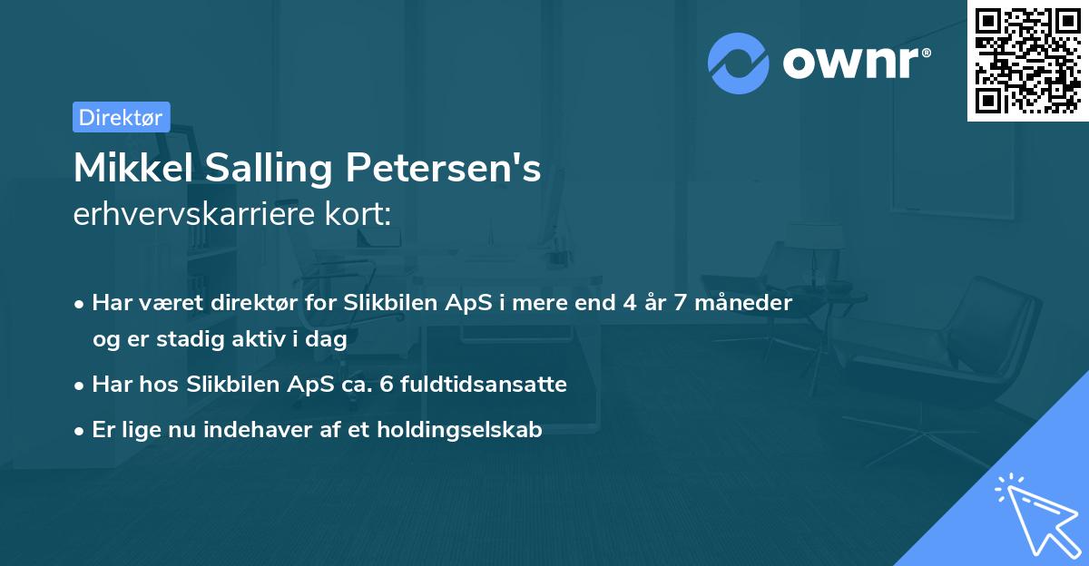 Mikkel Salling Petersen's erhvervskarriere kort