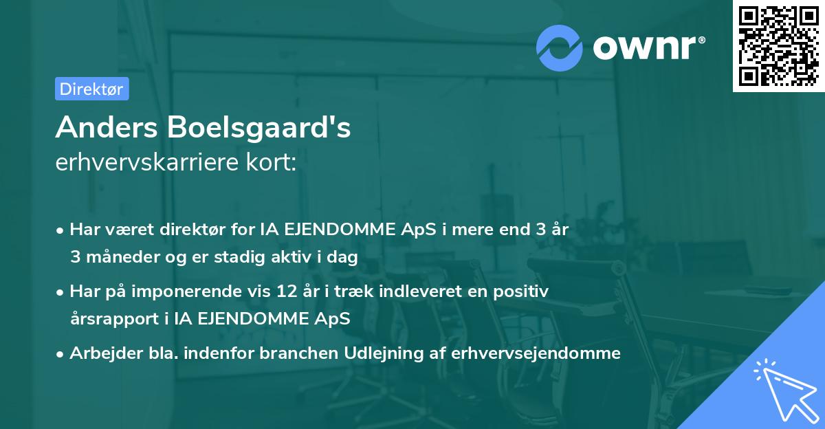 Anders Boelsgaard's erhvervskarriere kort