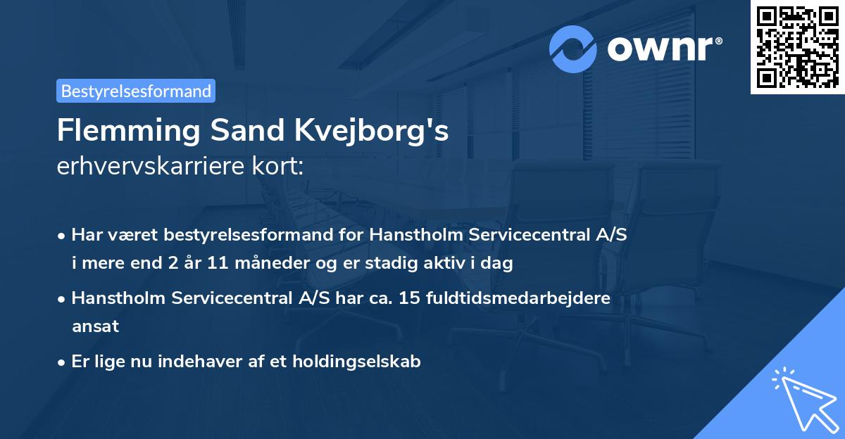 Flemming Sand Kvejborg's erhvervskarriere kort