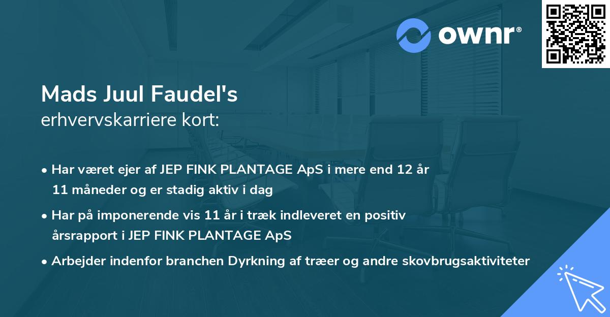 Mads Juul Faudel's erhvervskarriere kort