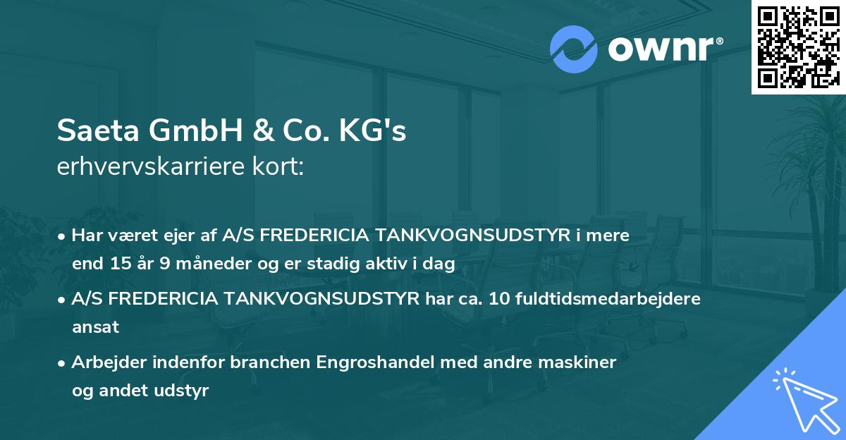 Saeta GmbH & Co. KG's erhvervskarriere kort