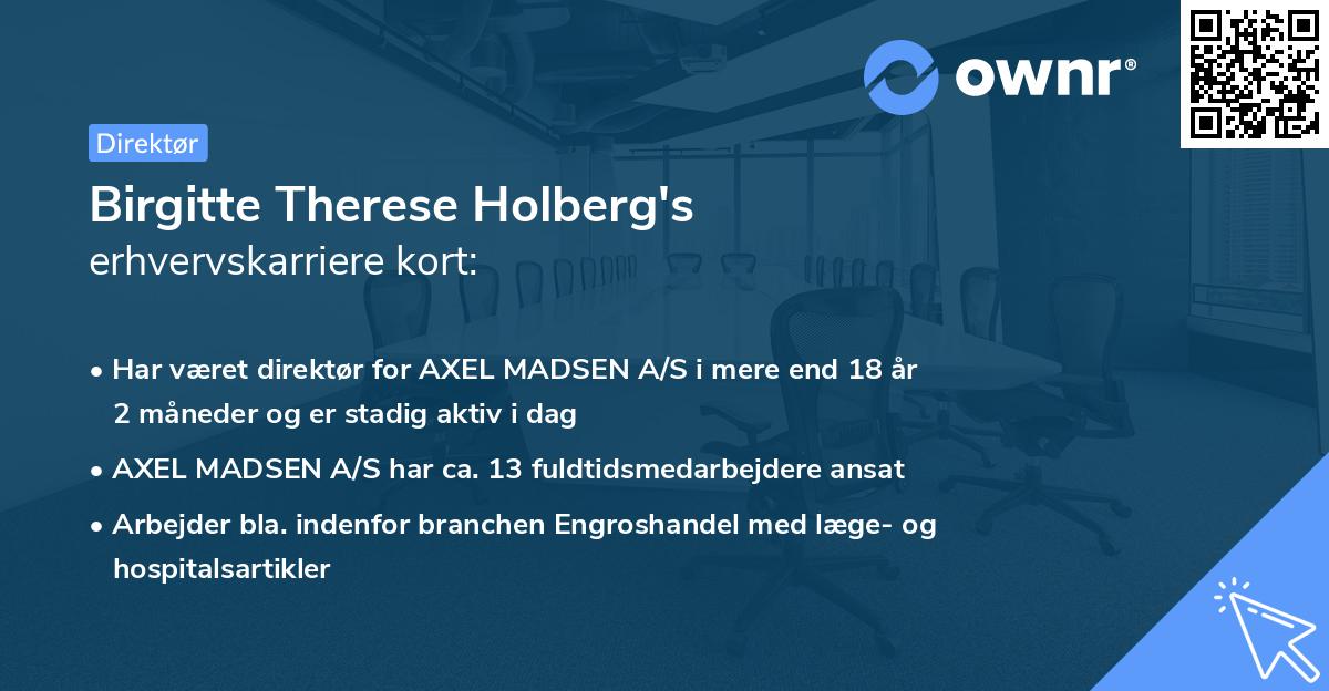 Birgitte Therese Holberg's erhvervskarriere kort