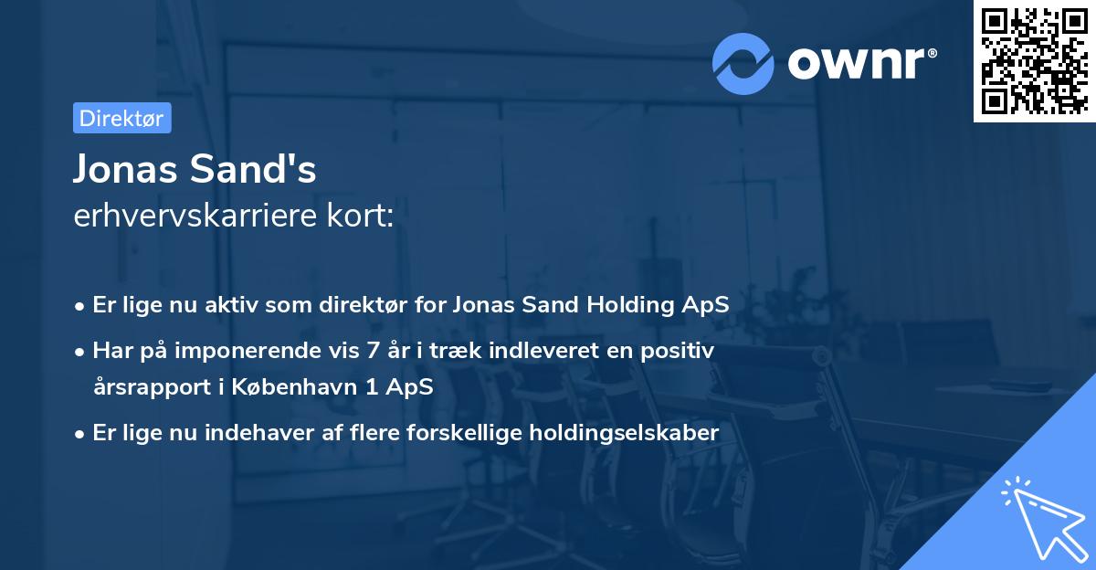 Jonas Sand's erhvervskarriere kort