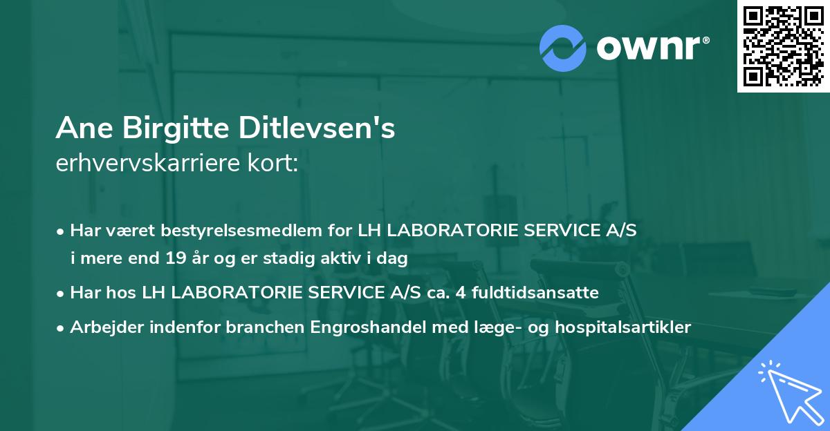 Ane Birgitte Ditlevsen's erhvervskarriere kort