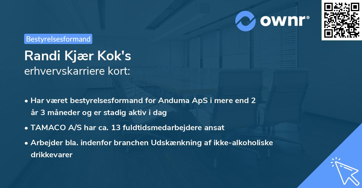 Randi Kjær Kok's erhvervskarriere kort