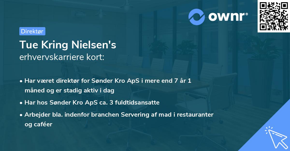 Tue Kring Nielsen's erhvervskarriere kort