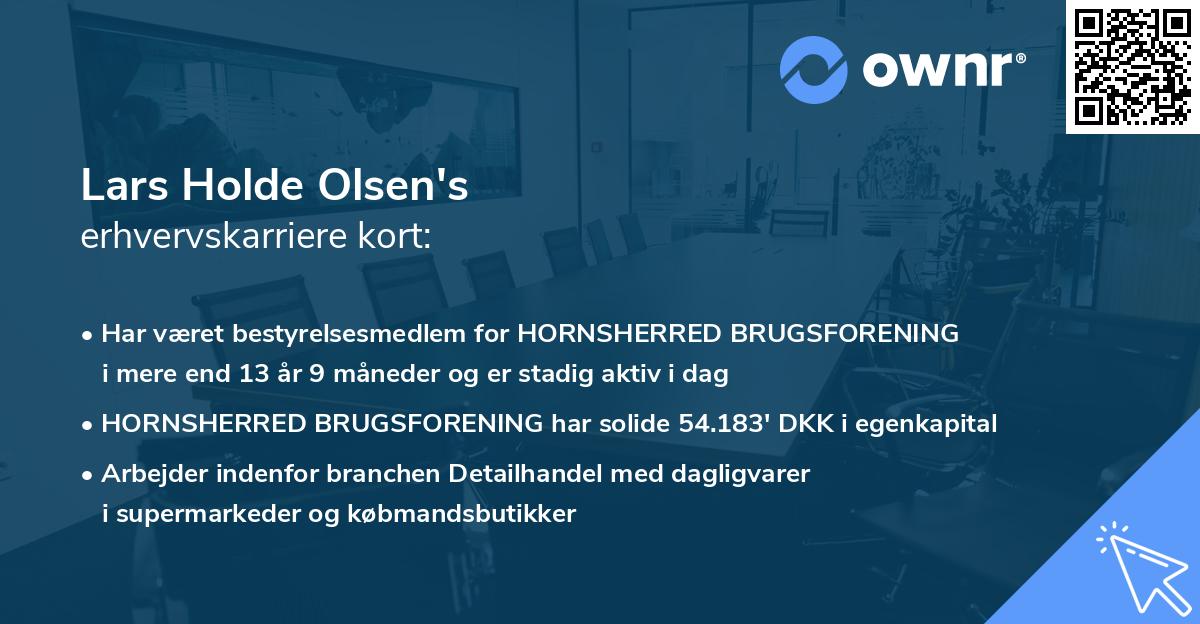 Lars Holde Olsen's erhvervskarriere kort