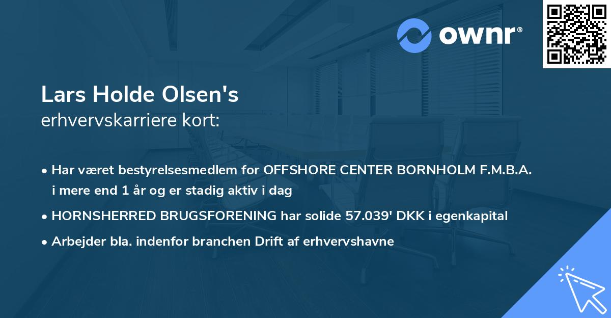 Lars Holde Olsen's erhvervskarriere kort