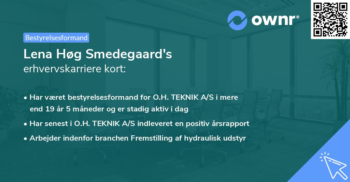 Lena Høg Smedegaard's erhvervskarriere kort