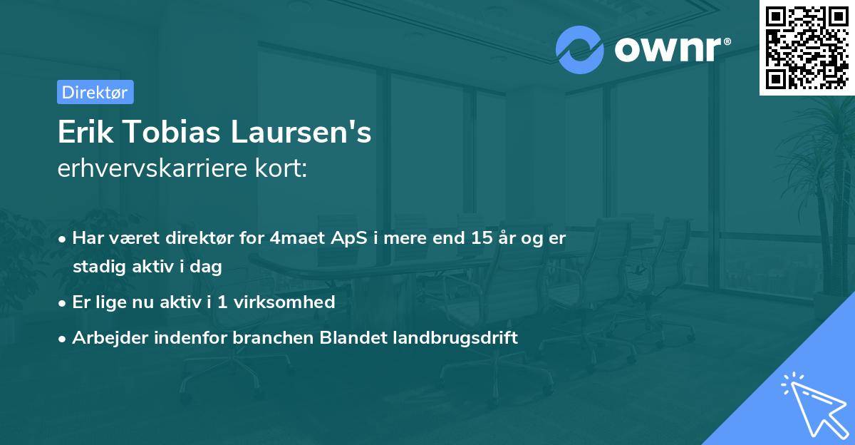 Erik Tobias Laursen's erhvervskarriere kort