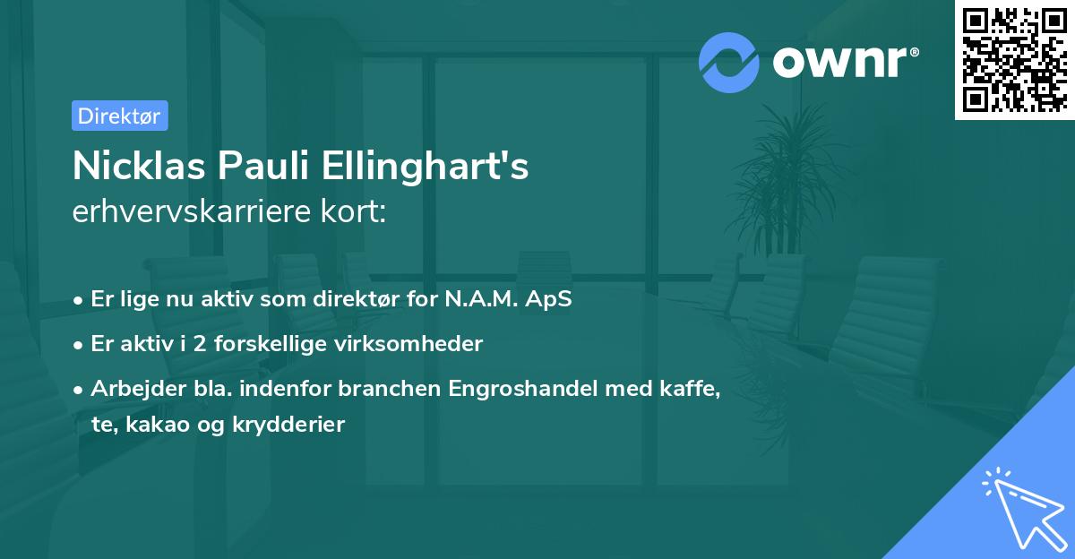 Nicklas Pauli Ellinghart's erhvervskarriere kort