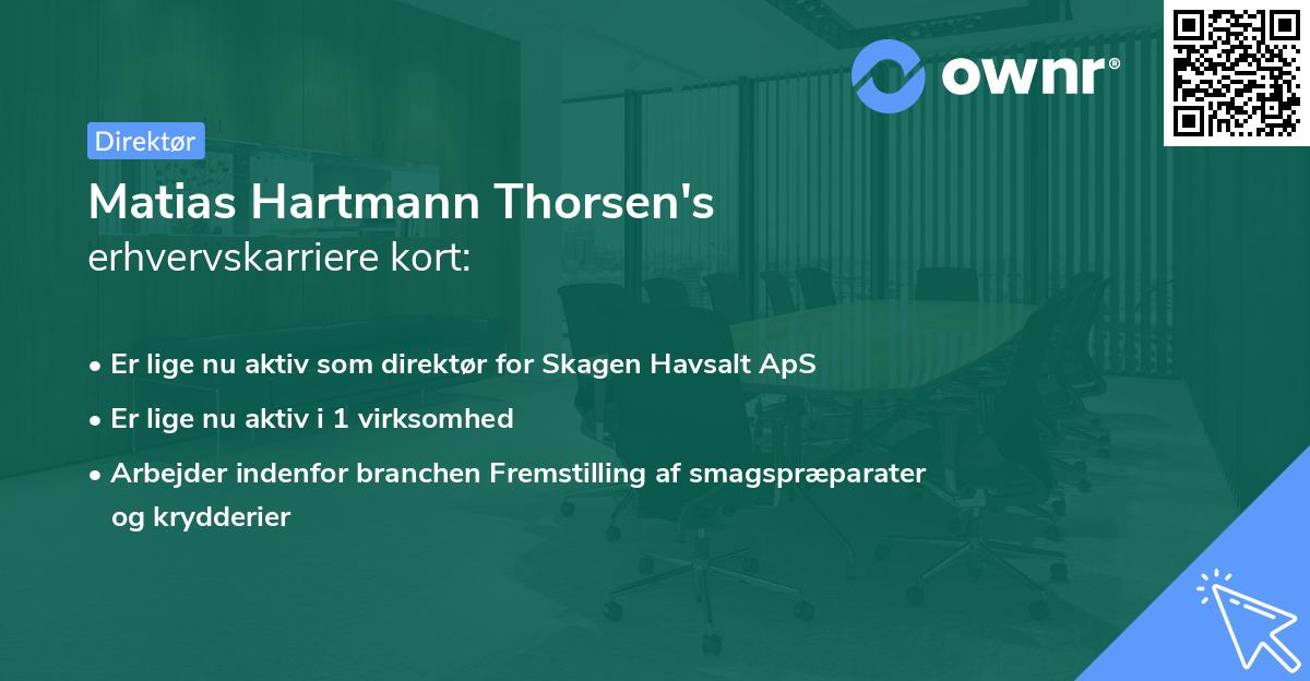 Matias Hartmann Thorsen's erhvervskarriere kort