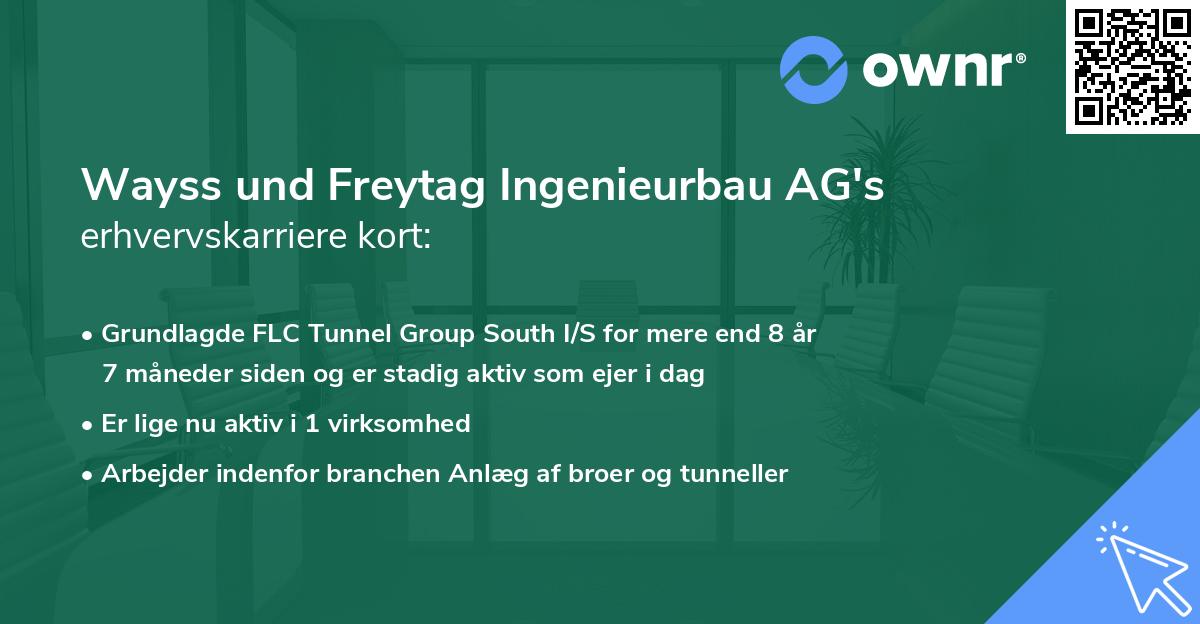 Wayss und Freytag Ingenieurbau AG's erhvervskarriere kort