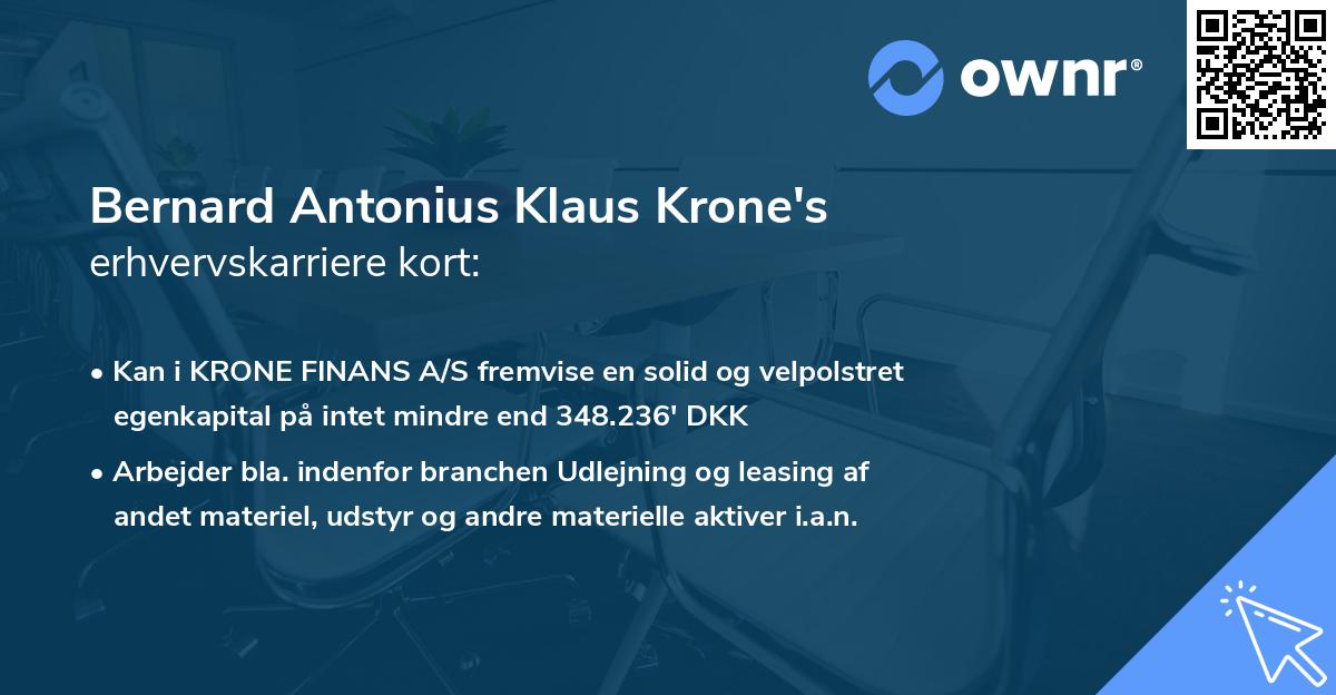 Bernard Antonius Klaus Krone's erhvervskarriere kort