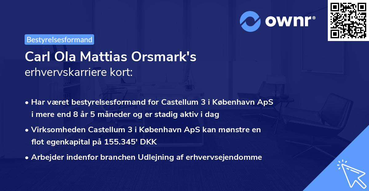 Carl Ola Mattias Orsmark's erhvervskarriere kort
