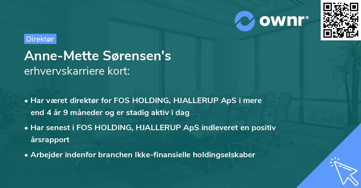 Anne-Mette Sørensen's erhvervskarriere kort