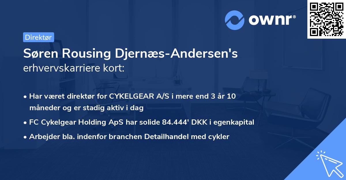Søren Rousing Djernæs-Andersen's erhvervskarriere kort