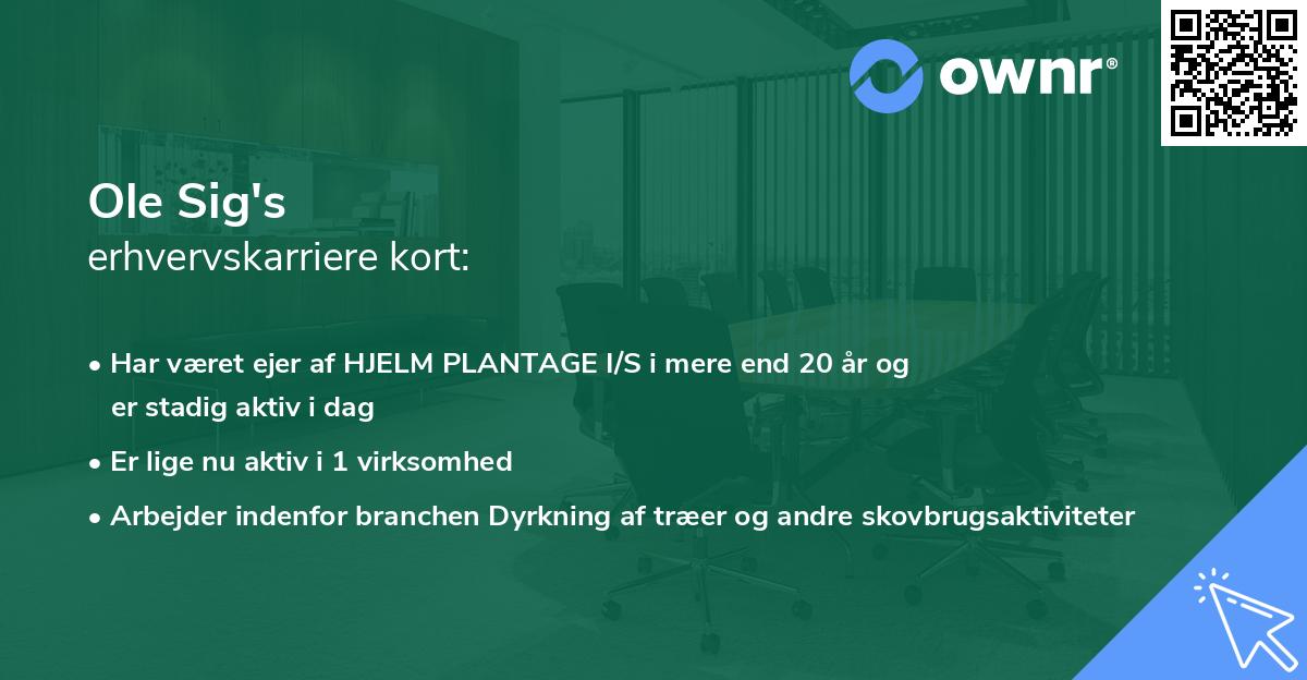 Ole Sig's erhvervskarriere kort