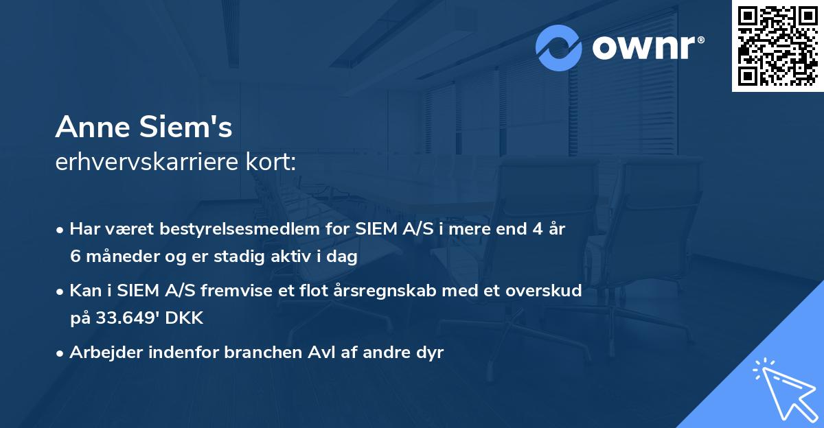 Anne Siem's erhvervskarriere kort